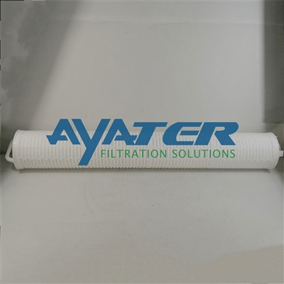 ALN10-60B High Flow Filter Cartridge